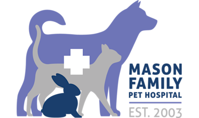Family pet online vet hospital